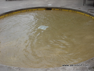 Wading Pool